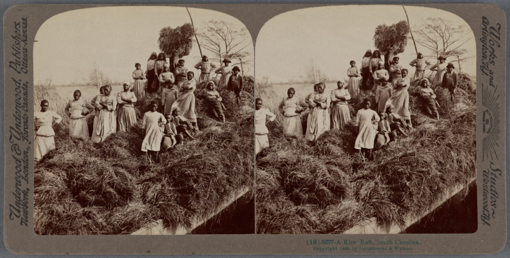 PHOTO: Rice raft, 1895 – Statehouse Report